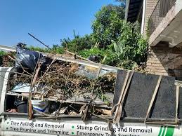 Best Estate Cleanout  in Ames, TX